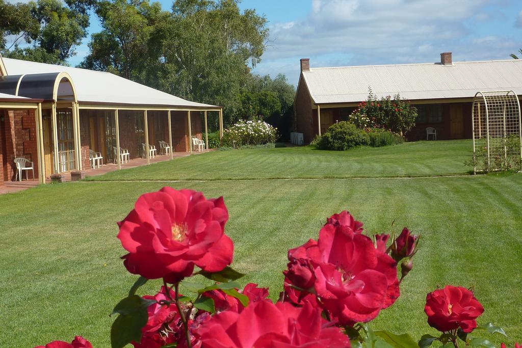Coonawarra Place Motor Inn Экстерьер фото