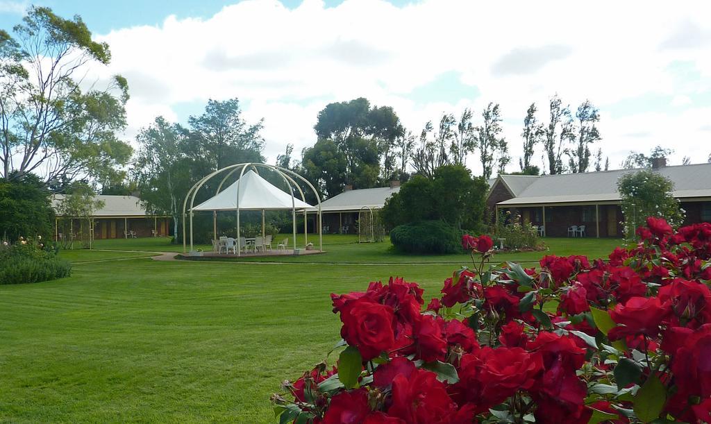 Coonawarra Place Motor Inn Экстерьер фото