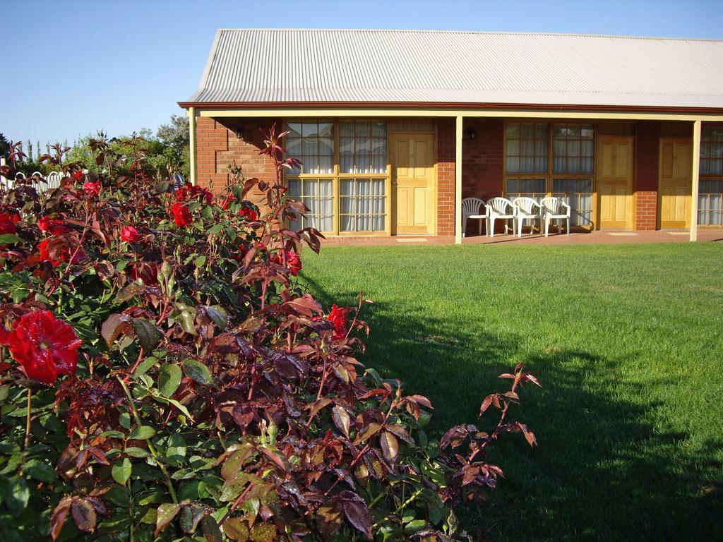 Coonawarra Place Motor Inn Экстерьер фото