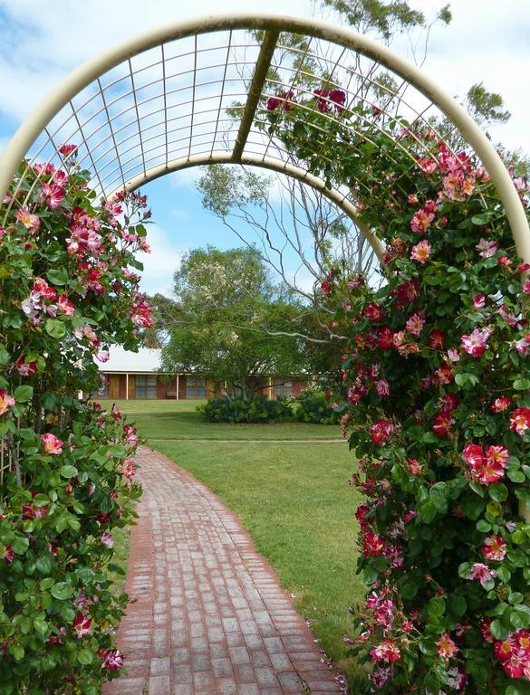 Coonawarra Place Motor Inn Экстерьер фото