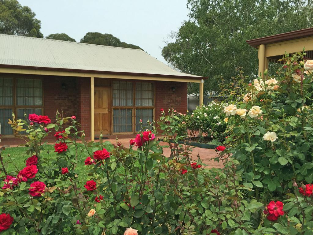 Coonawarra Place Motor Inn Экстерьер фото