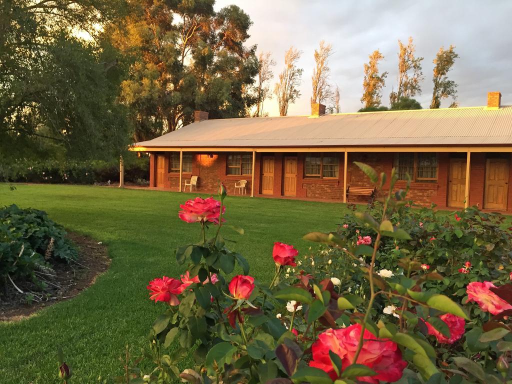 Coonawarra Place Motor Inn Экстерьер фото