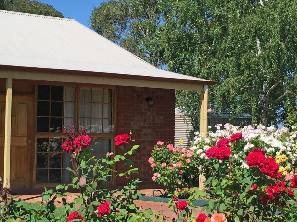 Coonawarra Place Motor Inn Экстерьер фото