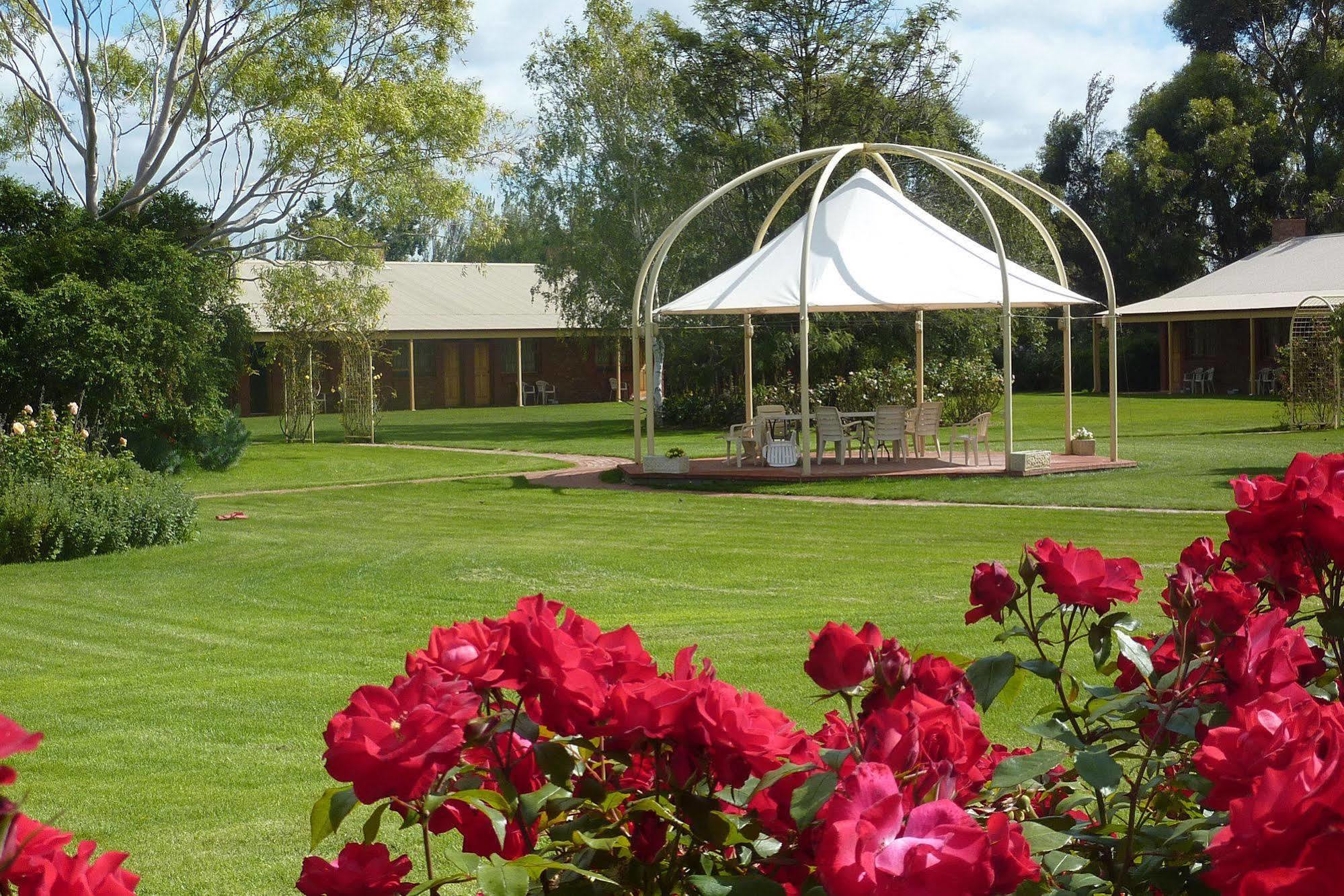 Coonawarra Place Motor Inn Экстерьер фото