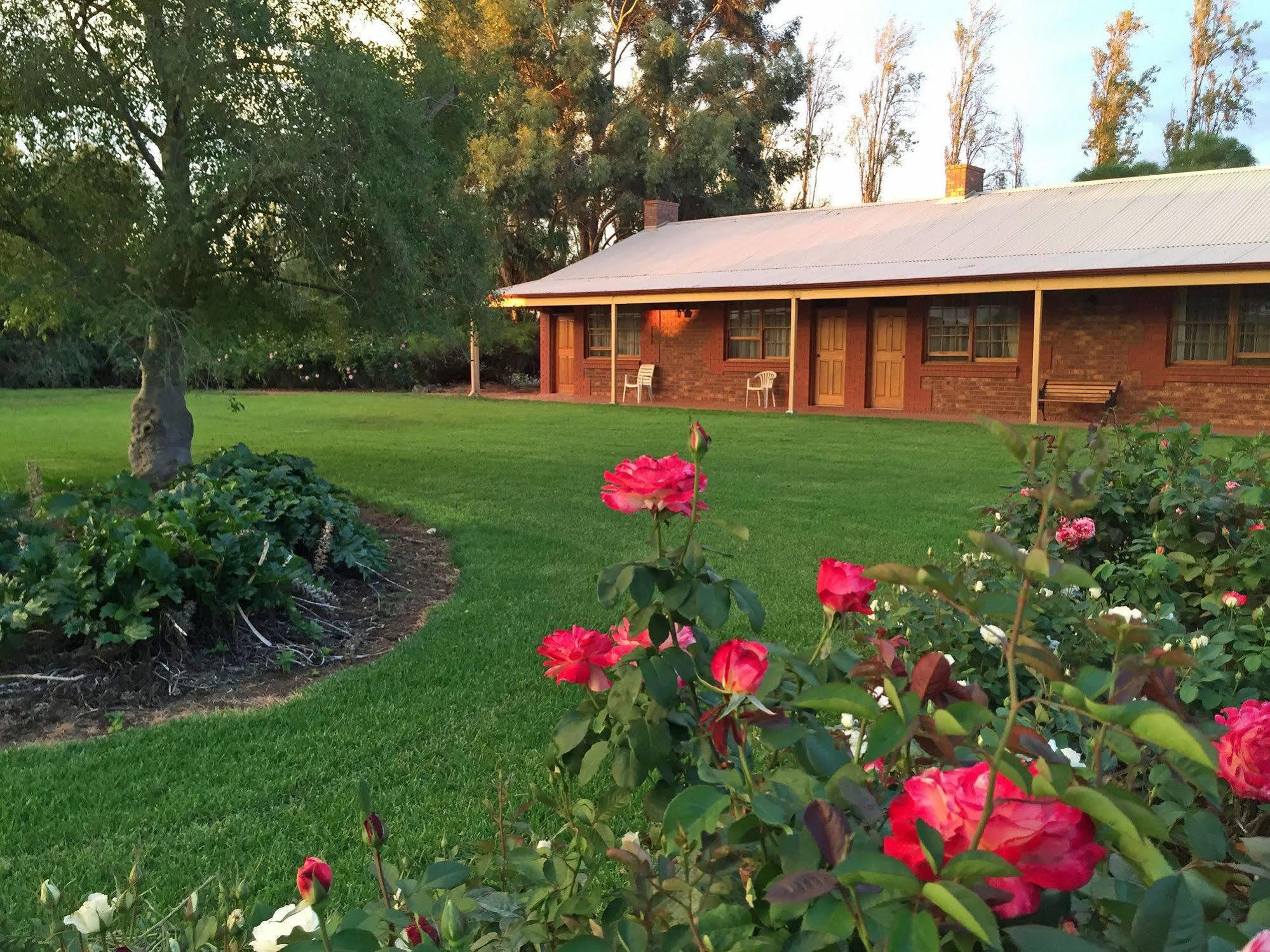 Coonawarra Place Motor Inn Экстерьер фото