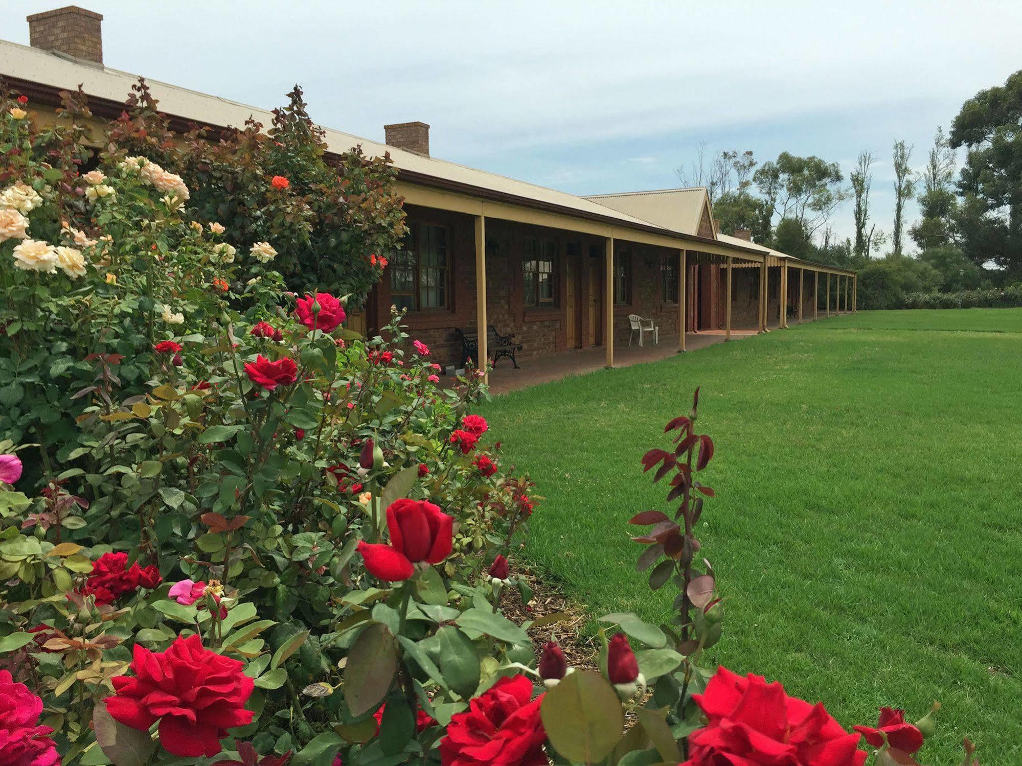 Coonawarra Place Motor Inn Экстерьер фото