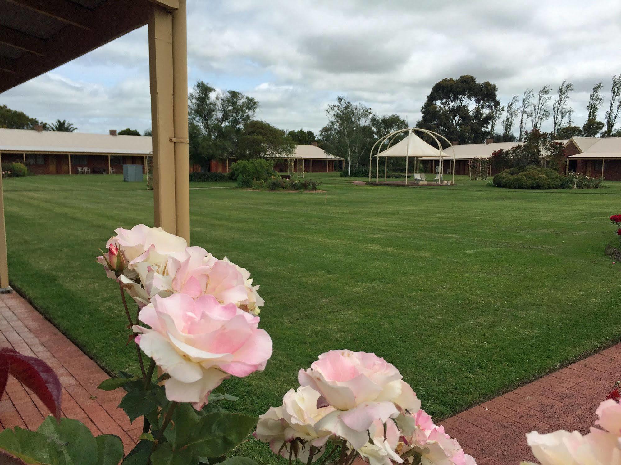 Coonawarra Place Motor Inn Экстерьер фото